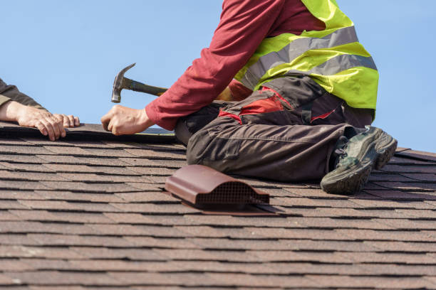 Best Flat Roof Repair Services  in Pardeeville, WI